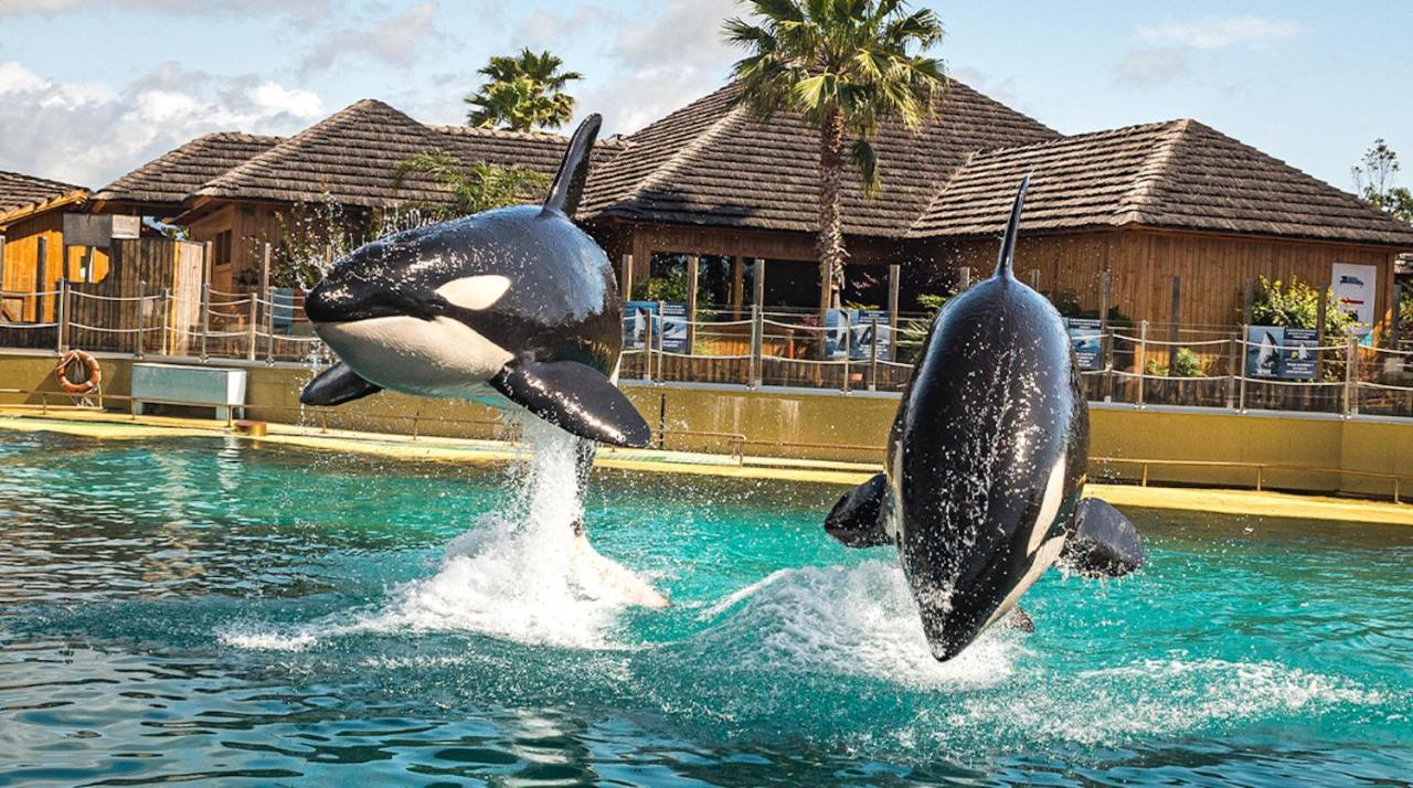 Appartement Marineland Sea View アンティーブ エクステリア 写真