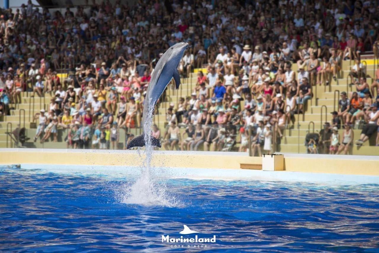 Appartement Marineland Sea View アンティーブ エクステリア 写真